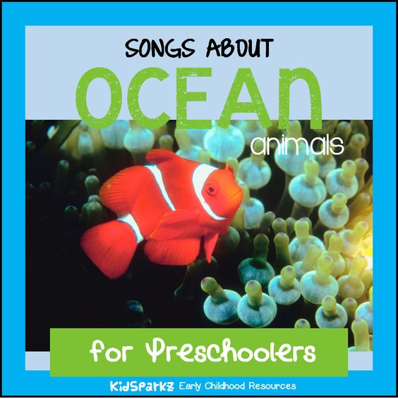 ocean animals songs and rhymes for preschool
