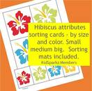 Hibiscus attributes sorting cards - by size and color.
