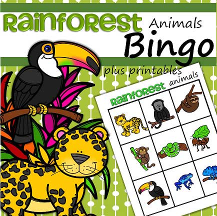 Rainforest activities for preschool pre-k and kindergarten