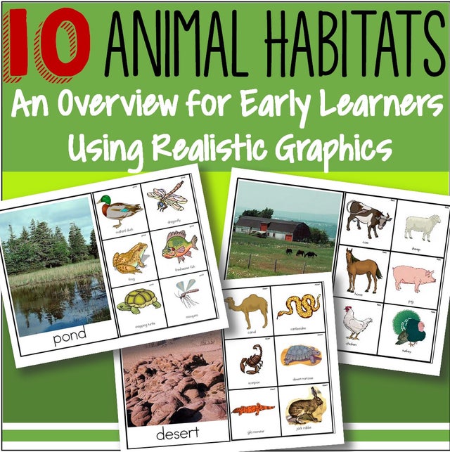 Animals and habitats activities for preschool, pre-k and kindergarten
