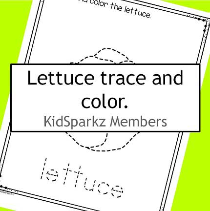 Lettuce trace and color.