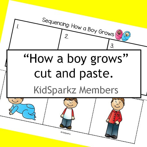 Sequencing cut and paste: Boy growing.