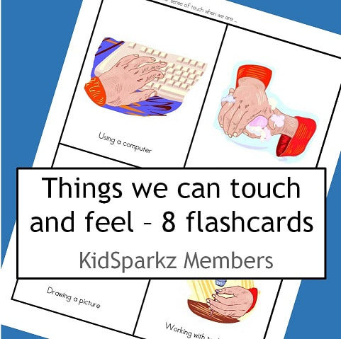sense of touch flashcards
