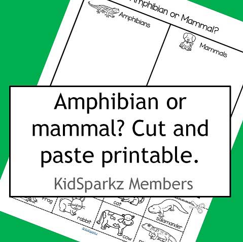 Amphibian or mammal? cut and paste categorizing