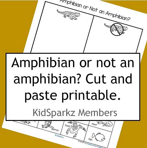 Amphibian or not amphibian? - cut and paste categorizing. MEMBERS