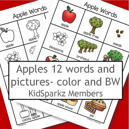 12 apple vocabulary words/ pictures printable for vocabulary and discussion. 