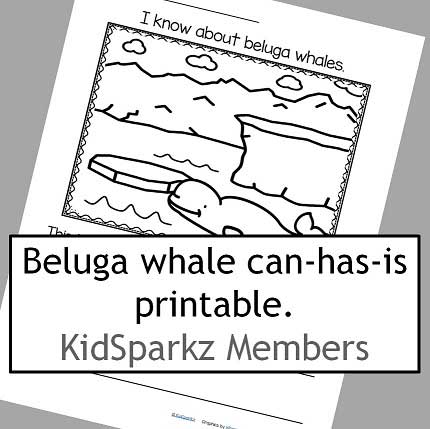 Beluga whales can - has - is printable. Teacher can write child's words. 