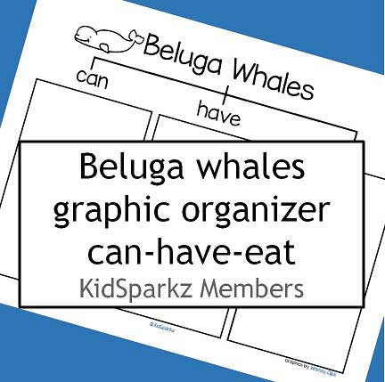 Beluga whales CAN-HAVE-EAT graphic organizer. 