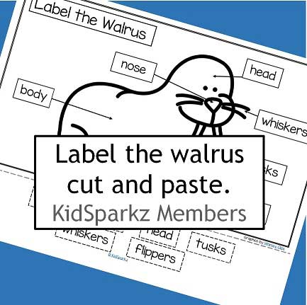 Arctic animals - label the walrus 