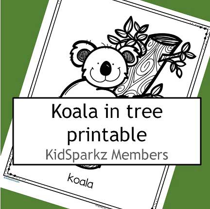 koala coloring printable