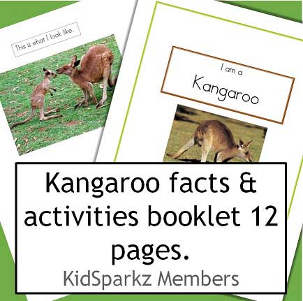 kangaroo facts booklet