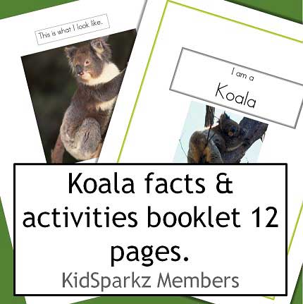 koala facts booklet