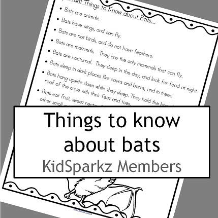 Bats theme information.