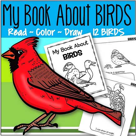 12 birds printables - make a book. Read, color and draw.
