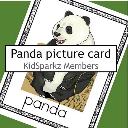 Chinese panda large word/picture card
