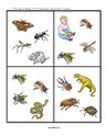Insects theme printable -  what does not belong?