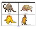 Dinosaur theme - 24 large flashcards