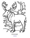Moose coloring printable