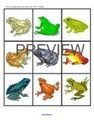 Frogs lotto matching game.  Print 2 copies. 