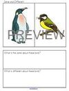 Penguins - same and different comparison