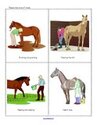 Horse theme - discussion cards. People need to take care of horses.