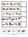 Insects theme printable -  complete the pattern cut and paste.