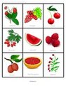 Watermelon theme - lotto matching game  - print 2 copies, cut up one.  All these fuits are red - labeled
