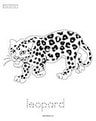 African animals theme tracing printable - jaguar
