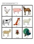 Farm animals lotto/concentration matching activity