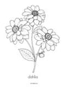 Flower theme creative coloring printables (13 labeled flowers).