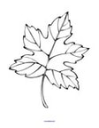 Fall theme coloring printable - leaf