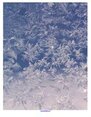 Snow theme backgrounds