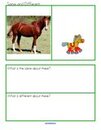 Horse preschool theme - discuss similarities and differences between 2 horses.