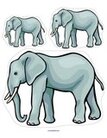 Elephant theme order by size activity