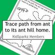 Trace ant's path to its anthill home. 