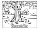 Trees growing in a park background - children draw things that might be seen in a park.