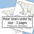 Polar bears order by size activity.