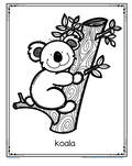 koala coloring printable