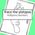 Trace the platypus. 