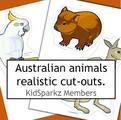 Australian animals preschool