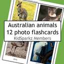 Australian animals 12 photo flashcards.