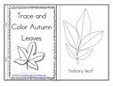 Leaves trace and color booklet to make. 9 reader pages