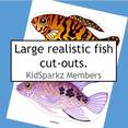 Fish large manipulatives - 10 fish, 2 sizes each