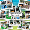 Set of forest animals photo flashcards and matching games. 