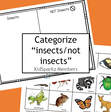 ​Insects theme categorizing center or cut and paste.