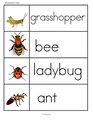 Insects preschool theme word wall.
