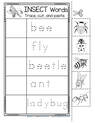 Realistic insects words trace, cut and paste printable. 