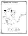 Trace a mouse