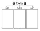 Owls can-have-eat discussion graphic organizer.