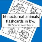 Set of 16 nocturnal animals flashcards in b/w